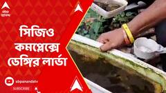 সিজিও কমপ্লেক্সের ভিতরে এবর মিলল ডেঙ্গির লার্ভা