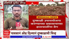 Ahmednagar Drought : पावसानं ओढ दिल्यानं अहमदनगर जिल्ह्यात दुष्काळाची चिन्ह