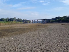 सांगलीत कृष्णेचं पात्र कोरडंठाक; भीषण पाणी टंचाई उद्भवणार, कोयना धरणातून विसर्गाची गरज भासणार