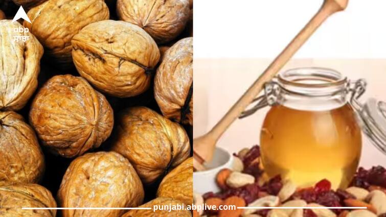 Know the benefits of walnut and honey Walnut and Honey Benefits: ਸ਼ਹਿਦ ਨਾਲ ਅਖਰੋਟ ਖਾ ਕੇ ਵੇਖੋ ਕਮਾਲ, ਦੋਵੇਂ ਇਕੱਠੇ ਖਾਣ ਨਾਲ 5 ਜ਼ਬਰਦਸਤ ਫਾਇਦੇ