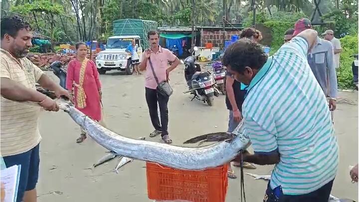 सिंधुदुर्गासह कोकणात मासेमारीला सुरुवात झाली आहे.