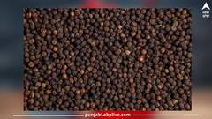 Black Pepper Benefits: ਕੈਂਸਰ ਵਰਗੀ ਬਿਮਾਰੀ ਤੋਂ ਬਚਾਉਂਦੀ ਕਾਲੀ ਮਿਰਚ, ਜਾਣੋ ਸਰੀਰ ਨੂੰ ਮਿਲਣ ਵਾਲੇ ਫਾਇਦਿਆਂ ਬਾਰੇ