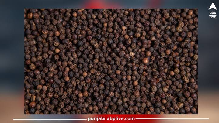 Black Pepper Benefits: ਜੇਕਰ ਕਿਸੇ ਵੀ ਭੋਜਨ 'ਚ ਥੋੜ੍ਹੀ ਜਿਹੀ ਕਾਲੀ ਮਿਰਚ ਪਾਈ ਜਾਵੇ ਤਾਂ ਇਸ ਦਾ ਸਵਾਦ ਦੁੱਗਣਾ ਹੋ ਜਾਂਦਾ ਹੈ।