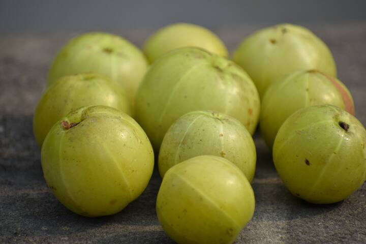 Amla Benefits:  आवळा केसाच्या आरोग्यासाठी खूप फायदेशीर आहे.