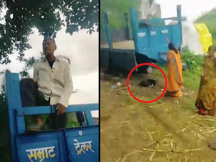 Jalgaon Crime dog hanged on suspicion of tearing sheet of tractor this incident in Jalgaon angered animal lovers Jalgaon Crime: ट्रॅक्टरची सीट फाडल्याच्या संशयातून कुत्र्याला दिली फाशी; जळगावमधील घटनेने प्राणीमित्रांचा संताप