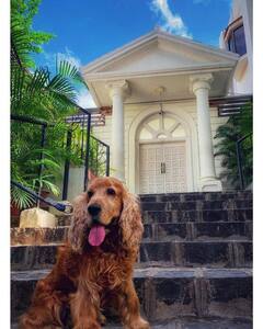 Riteish Deshmukh House: ऐशो-आराम में शाहरुख के बंगले को टक्कर देता रितेश-जेनेलिया का घऱ,देखिए मंदिर से लेकर गार्डन तक की तस्वीरें