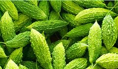 Health Tips : कारले रोज खाल्ल्याने आरोग्यास हे फायदे होतात, पाहा