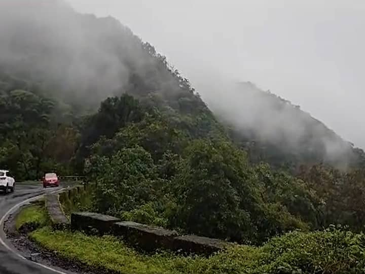 Sindhudurg Phondaghat : धुक्यात हरवलेले रस्ते, रस्त्यालगत असलेल्या दरीत धुक्याची चादर, अल्हाददायक वातावरण फोंडाघाट इथे पाहायला मिळत आहे.