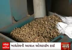 Oil Price| ખાદ્યતેલના ભાવ જળવાઈ રહે તે માટે ખાદ્યતેલ, તેલિબિયા સંગઠનોએ શું કરી મોટી માંગ?