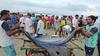 Sindhudurg Fishing : 9 फूट लांब, 27 किलो वजन; मालवण बंदरात मच्छिमारांना सापडला भला मोठा, दर मिळाला...