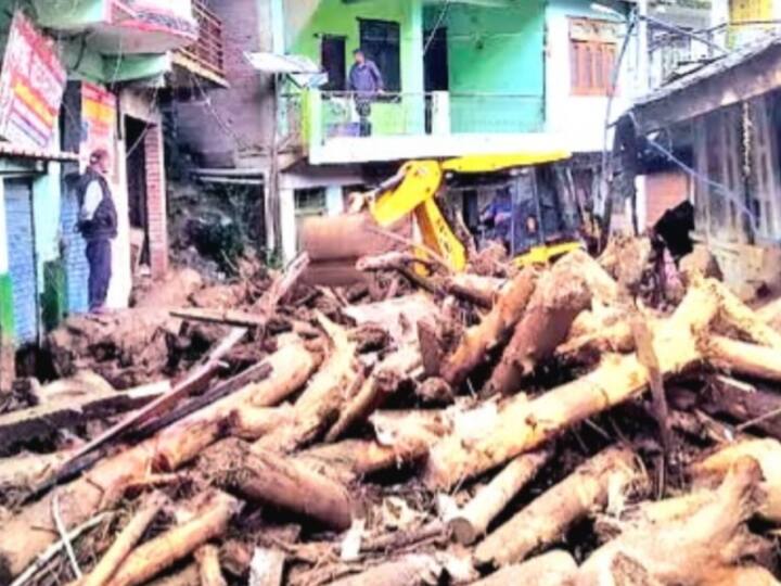 Himachal Pradesh: वन विभाग के ढीले रवैये से भारी नुकसान, सरकार ने 30 दिन में पेड़ निपटान को लेकर जारी की SOP Heavy loss due to lax attitude of forest department, Govt issued SOP regarding tree disposal in 30 days ANN Himachal Pradesh: वन विभाग के ढीले रवैये से भारी नुकसान, सरकार ने 30 दिन में पेड़ निपटान को लेकर जारी की SOP