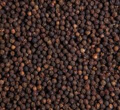 Black Pepper Benefits: ਕੈਂਸਰ ਵਰਗੀ ਬਿਮਾਰੀ ਤੋਂ ਬਚਾਉਂਦੀ ਕਾਲੀ ਮਿਰਚ, ਜਾਣੋ ਸਰੀਰ ਨੂੰ ਮਿਲਣ ਵਾਲੇ ਫਾਇਦਿਆਂ ਬਾਰੇ