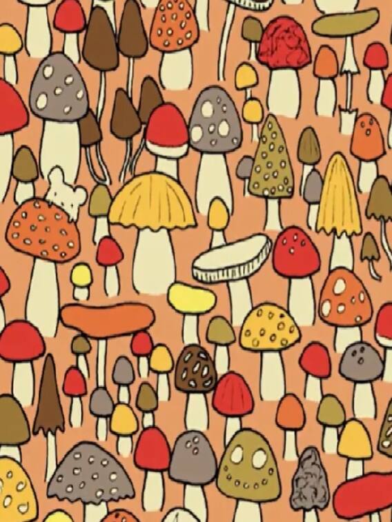 क्या आप छिपे हुए चूहे को पहचान सकते हैं?