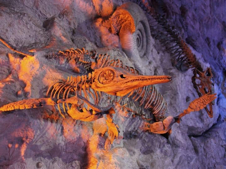 dichryosaurid sauropod dinosaur found for the first time in India know why it is the most special डाइक्रियोसॉरिड सॉरोपॉड डायनासोर के भारत में पहली बार मिले अवशेष, जानिए क्यों हैं ये सबसे खास