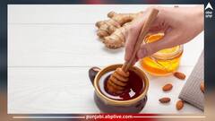 Health Tips: ਮਰਦਾਨਾ ਸਮੱਸਿਆਵਾਂ ਨੂੰ ਦੂਰ ਕਰਨ ਲਈ ਸ਼ਹਿਦ ਤੇ ਹਲਦੀ ਦਾ ਕਰੋ ਸੇਵਨ...ਕੁਝ ਹੀ ਦਿਨਾਂ ਵਿੱਚ ਨਜ਼ਰ ਆਵੇਗਾ ਕਮਾਲ ਦਾ ਅਸਰ