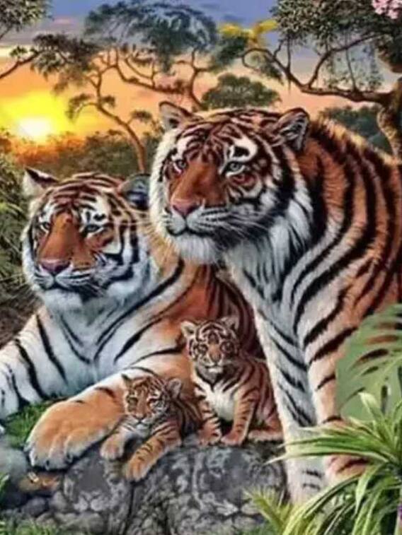 इस तस्वीर में 16 टाइगर... मुझे तो 4 दिख रहे, आपको कितने दिखे?