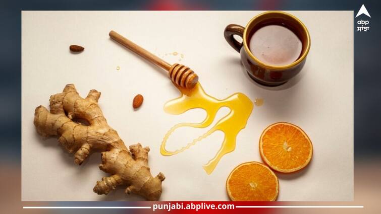 Turmeric and Honey: men's health hidden in turmeric and honey, just use this for a few weeks Turmeric and Honey: ਹਲਦੀ ਤੇ ਸ਼ਹਿਦ 'ਚ ਛੁਪਿਆ ਮਰਦਾਂ ਦੀ ਸਿਹਤ ਦਾ ਰਾਜ, ਬੱਸ ਕੁਝ ਹਫਤੇ ਇੰਝ ਵਰਤੋਂ