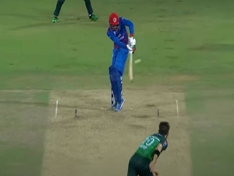 Mujeeb Ur Rahman Hit Wicket Out Vs Pakistan Viral Video After Scoring Fastest ODI 50 For Afghanistan Mujeeb Ur Rahman Becomes First Afghan Batter To Get Out Hit Wicket In International Cricket After Scoring Fastest ODI 50 For Afghanistan- WATCH