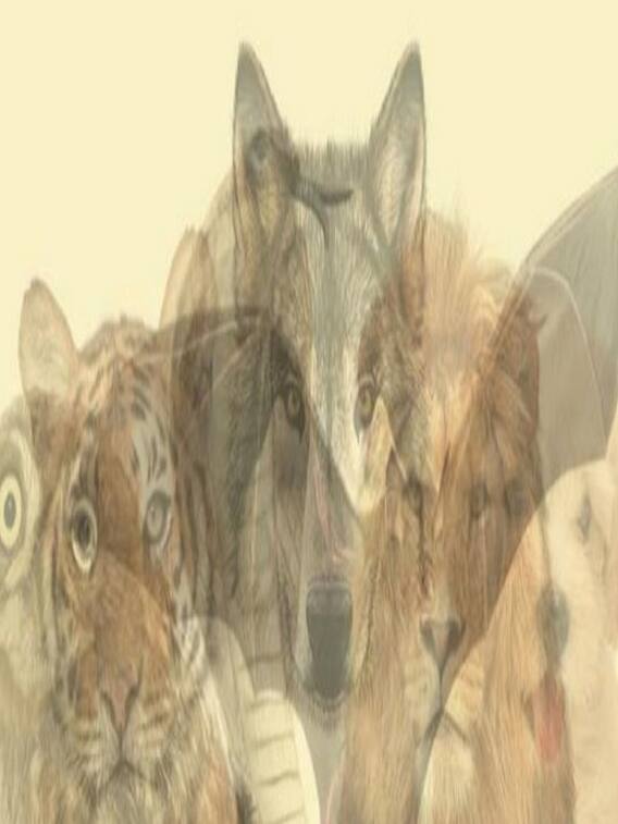 इस जानवर की तस्वीर खोल देगी आपके भीतर छिपे राज