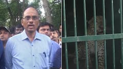 ట్రాప్ తర్వాతి ప్రక్రియ ఏంటి..? ఎలుగుబంటి మాటేంటి..?