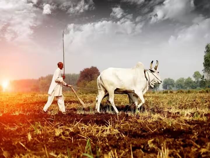 8. Kisan Vikas Patra সর্বনিম্ন 1000 টাকা এবং তারপরে 100 টাকার গুণিতকে বিনিয়োগ করা যায়। কোনও সর্বোচ্চ জমার সীমা নেই। একটি সিঙ্গল হোল্ডার টাইপ অ্যাকাউন্ট একজন প্রাপ্তবয়স্ক তার নিজের জন্য বা নাবালকের হয়ে খুলতে পারে। 10 বছর বয়সে নাবালকের দ্বারা একটি সিঙ্গল হোল্ডার টাইপ অ্যাকাউন্টও খোলা যায়। পোস্ট অফিস এবং অনুমোদিত ব্যাঙ্কগুলিতে অ্যাকাউন্ট খোলা যেতে পারে।