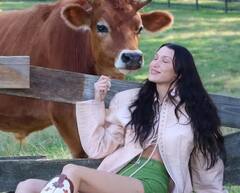 Israel Palestine Conflict: આખરે કેમ આ અમેરિકન સુંદર મોડલ અને ઇઝરાયલના મંત્રી વચ્ચે છેડાયું શાબ્દિક યુદ્ધ