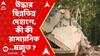 Dutta Pukur Incident:বিস্ফোরণস্থলের আশেপাশের এলাকায় উদ্ধার ছিন্নভিন্ন দেহাংশ, কী কী রাসায়নিক মজুত ?