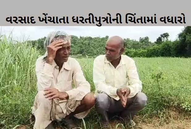 farmers of Banaskantha district expressed concern about crop failure   Banaskantha: બનાસકાંઠા જિલ્લામાં વરસાદ ખેંચાતા ધરતીપુત્રોની ચિંતામાં વધારો, પાક નિષ્ફળ જવાની ભીતિ