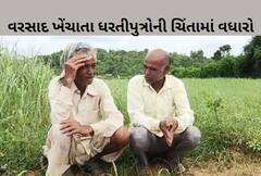 Banaskantha: બનાસકાંઠા જિલ્લામાં વરસાદ ખેંચાતા ધરતીપુત્રોની ચિંતામાં વધારો, પાક નિષ્ફળ જવાની ભીતિ