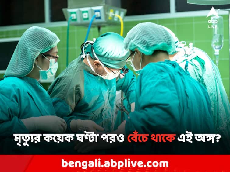 Do You Know Which part of the body 'survives' for a long time after death Science Facts: মৃত্যুর পরও শরীরের কোন অংশ দীর্ঘ সময় 'বেঁচে থাকে'?