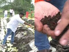 आयआयटीमधून शिक्षण घेतलेल्या तरुणाची मातीशी नाळ; उभारला गांडूळ खत निर्मिती प्रकल्प, मिळतंय लाखोंचे उत्पन्न