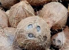 Raksha Bandhan 2023: શ્રાવણ પૂર્ણિમાએ ખરીદો આ વસ્તુ, ધનનો થશે ઢગલો