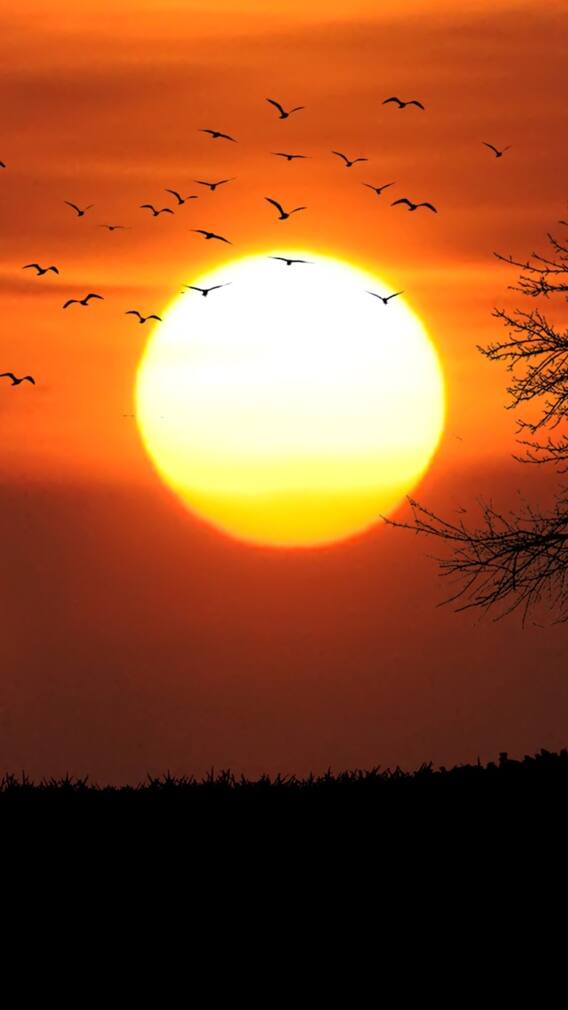 સૂર્યોનો સાચો રંગ કેવો છે?