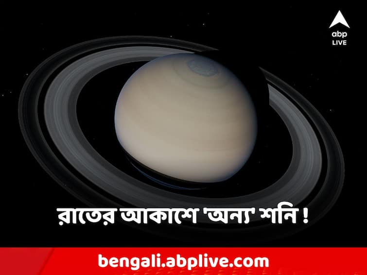 this weekend Saturn will make its brightest and biggest appearance Saturn: রাতের আকাশে এ কোন 'শনি'! বিরল মহাজাগতীয় ঘটনার সাক্ষী হতে চলেছে বিশ্ব