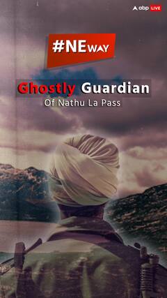 The Guardian Of Nathu La Pass