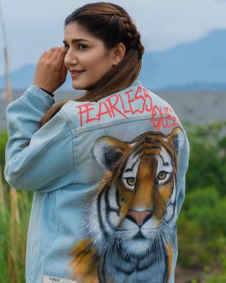 ડાન્સરના કાર કલેક્શનની વાત કરીએ તો તેની પાસે ઓડી Q7 ફૉર્ડ અને BMW 7 સીરીઝ જેવી લક્ઝરી કાર છે.