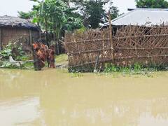 PHOTOS: सहरसा में उफान पर कोसी, कई गांवों में घुसा पानी, स्कूल भी डूबा, इन तस्वीरों से देखें हालात