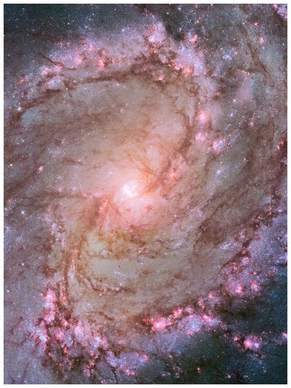 जब सूरज पूरी तरह हो जाएगा भस्म तो कैसा दिखेगा