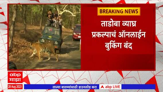 Tadoba Tiger Reserve : ताडोबा व्याघ्र प्रकल्पाचं ऑनलाईन बुकिंग बंद, पर्यटकांना फटका