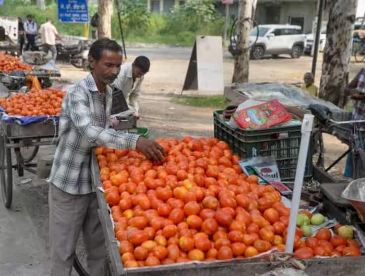 tomato price down from 200 rupees to 14 rupees per kg know reason Tomato Price: ਹਫਤੇ 'ਚ 200 ਰੁਪਏ ਕਿਲੋ ਤੋਂ 14 ਰੁਪਏ 'ਤੇ ਆਏ ਟਮਾਟਰ, ਜਾਣੋ ਕਿਉਂ ਆਈ ਕੀਮਤ 'ਚ ਭਾਰੀ ਕਟੌਤੀ