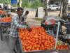 Tomato Price: ਹਫਤੇ 'ਚ 200 ਰੁਪਏ ਕਿਲੋ ਤੋਂ 14 ਰੁਪਏ 'ਤੇ ਆਏ ਟਮਾਟਰ, ਜਾਣੋ ਕਿਉਂ ਆਈ ਕੀਮਤ 'ਚ ਭਾਰੀ ਕਟੌਤੀ