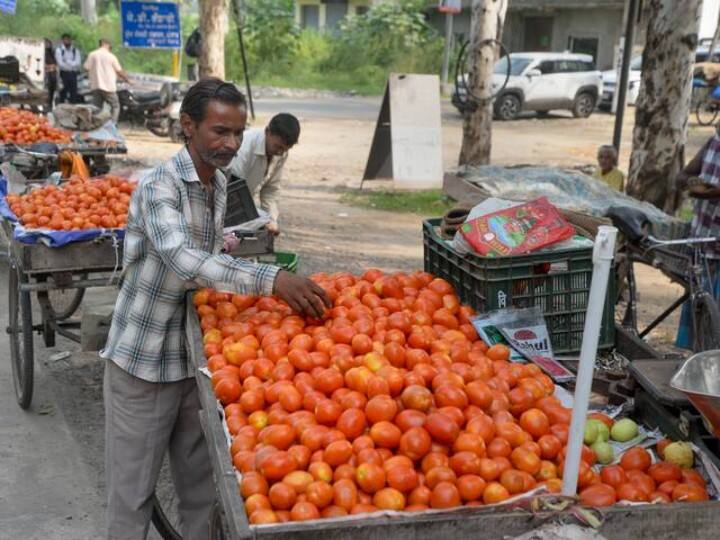 Tomato Price down from 200 rupees to 14 rupees per KG Know Reason Tomato Price: एक हफ्ते में यहां 200 रुपये प्रति किलो से 14 रुपये पर आया टमाटर, जानें भाव में क्‍यों आई भारी कमी
