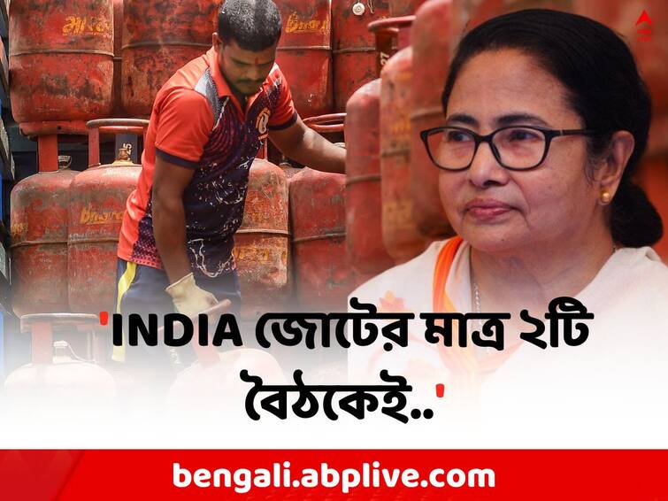 Mamata on LPG Price: LPG Gas price decreased after INDIA meet, claims Mamata Banerjee Mamata on LPG:  কমল LPG গ্যাসের দাম, মমতা বললেন, এটাই INDIA জোটের কামাল