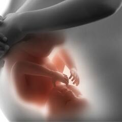 Pregnancy: ਗਰਭ ਅਵਸਥਾ ਦੌਰਾਨ ਹੀਮੋਗਲੋਬਿਨ ਕਿੰਨਾ ਹੋਣਾ ਚਾਹੀਦਾ? ਇਸ ਪੱਧਰ ਤੋਂ ਹੇਠਾਂ ਡਿੱਗਣਾ ਖ਼ਤਰਨਾਕ