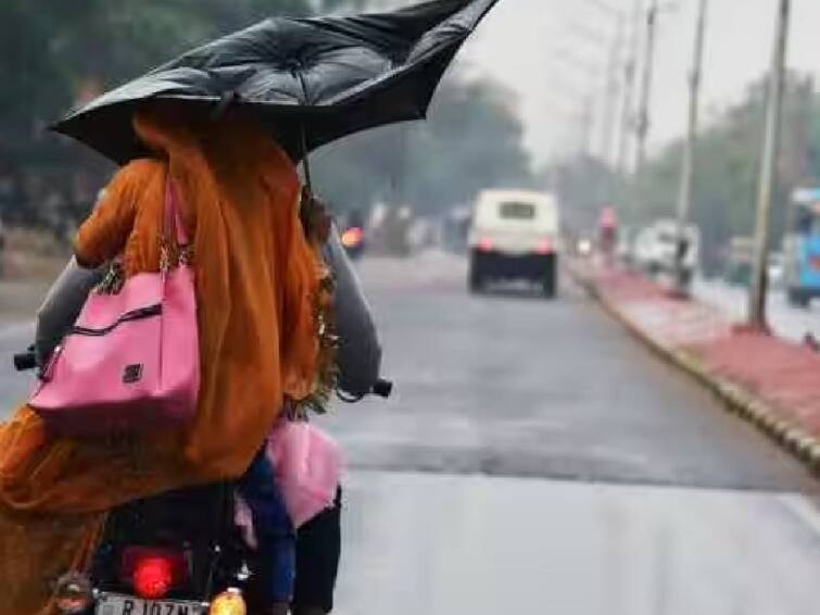 According to the Meteorological Department, there will be heavy rain in various districts of Tamil Nadu for the next 3 days. TN Rain Alert: தமிழ்நாட்டில் அடுத்த 3 நாட்களுக்கு கனமழை கொட்டித்தீர்க்கும்.. எந்தெந்த மாவட்டங்களில்? இன்றைய மழை நிலவரம்..