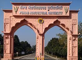 Ludhiana : ਪੀਏਯੂ ਟੀਚਰਜ਼ ਐਸੋਸੀਏਸ਼ਨ ਵੱਲੋਂ ਮੰਗਾਂ ਦੀ ਪੂਰਤੀ ਲਈ ਧਰਨਾ ਲਾਉਣ ਅਤੇ ਰੋਸ਼ ਪ੍ਰਦਰਸ਼ਨ ਕਰਨ ਦਾ ਐਲਾਨ