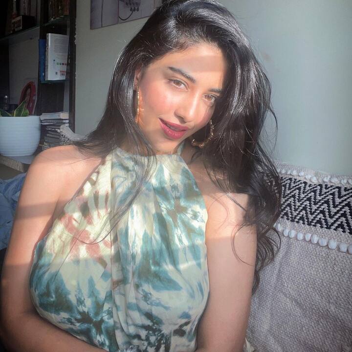 ఈ సినిమాలో సుశాంత్‌కు జోడిగా దక్ష కనిపించారు.