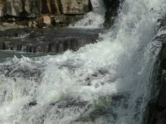 Washim News : एकबर्जी धरण ओव्हरफ्लो, वाशिमकरांची पाण्याची वर्षभराची चिंता मिटली