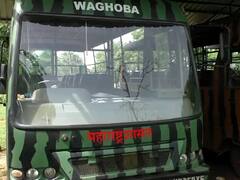 Tadoba Tiger Reserve : ताडोबा येथे दाखल होणार सहा विशेष जिप्सी , ताडोबा कोर झोन सिझन 1ऑक्टोबरपासून