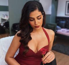 Shreya Dhanwanthary Birthday: ફક્ત ચાર વર્ષની ઉંમરમાં એક્ટિંગ કરવા લાગી હતી શ્રેયા, મિડલ ઇસ્ટની સ્કૂલોમાં કર્યો છે અભ્યાસ